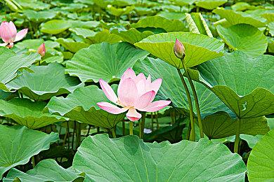 《霍格沃茨之遗》Switch版跳票至11月14日 为了更好的体验